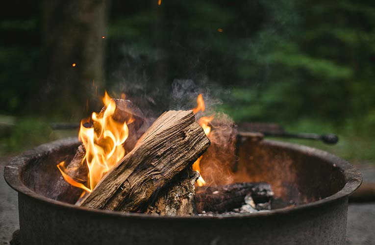 wood-log-fire-campfire-meat-barbecue-59019-pxhere.com